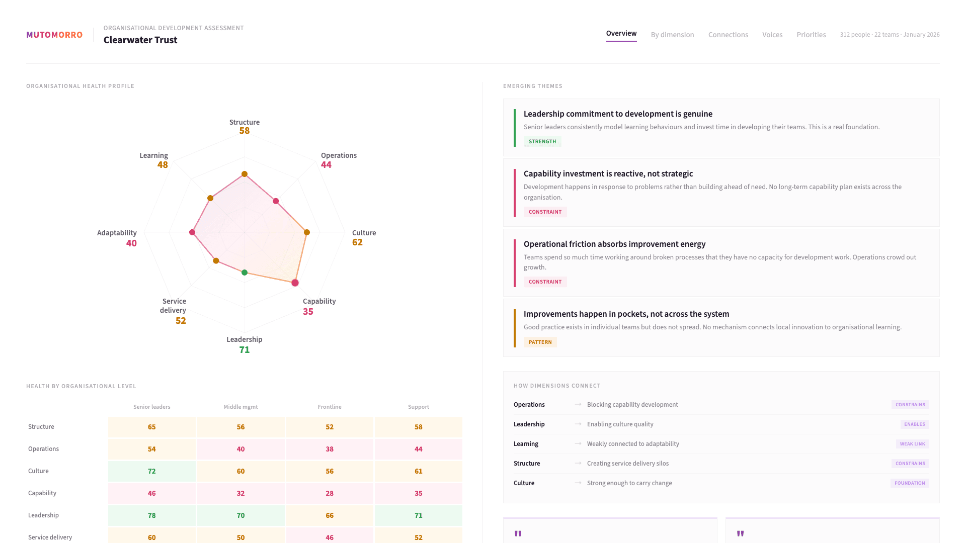 Organisational Development - Understanding the health of your organisational ecosystem