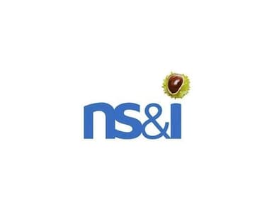 NSI Logo 1