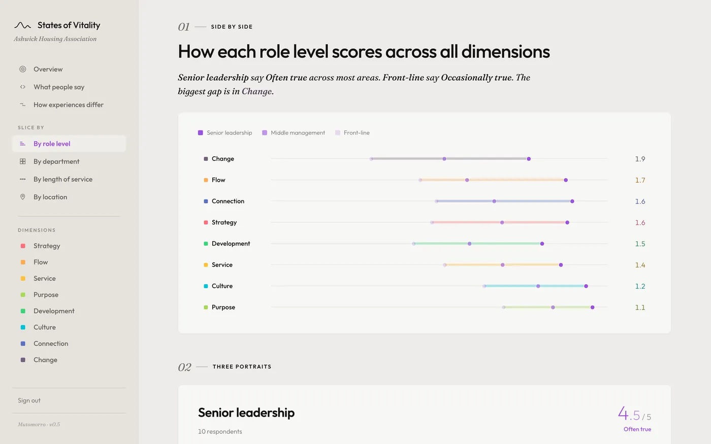 By Role Level view comparing how senior, middle and front-line groups experience each dimension side by side