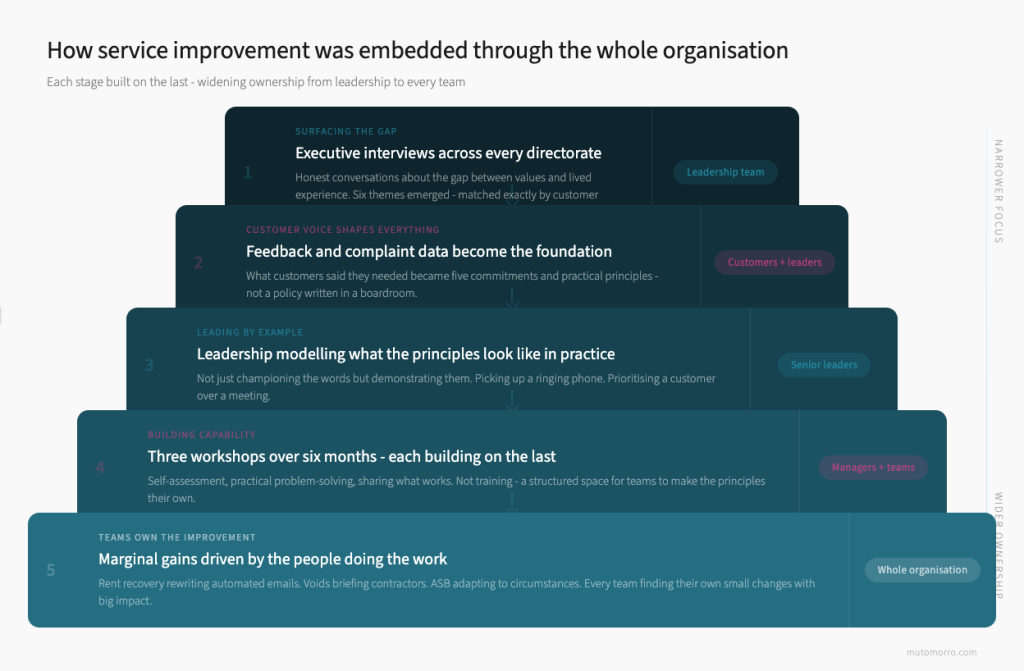 Cascading diagram showing five stages of service improvement rollout from executive interviews through to whole organisation ownership
