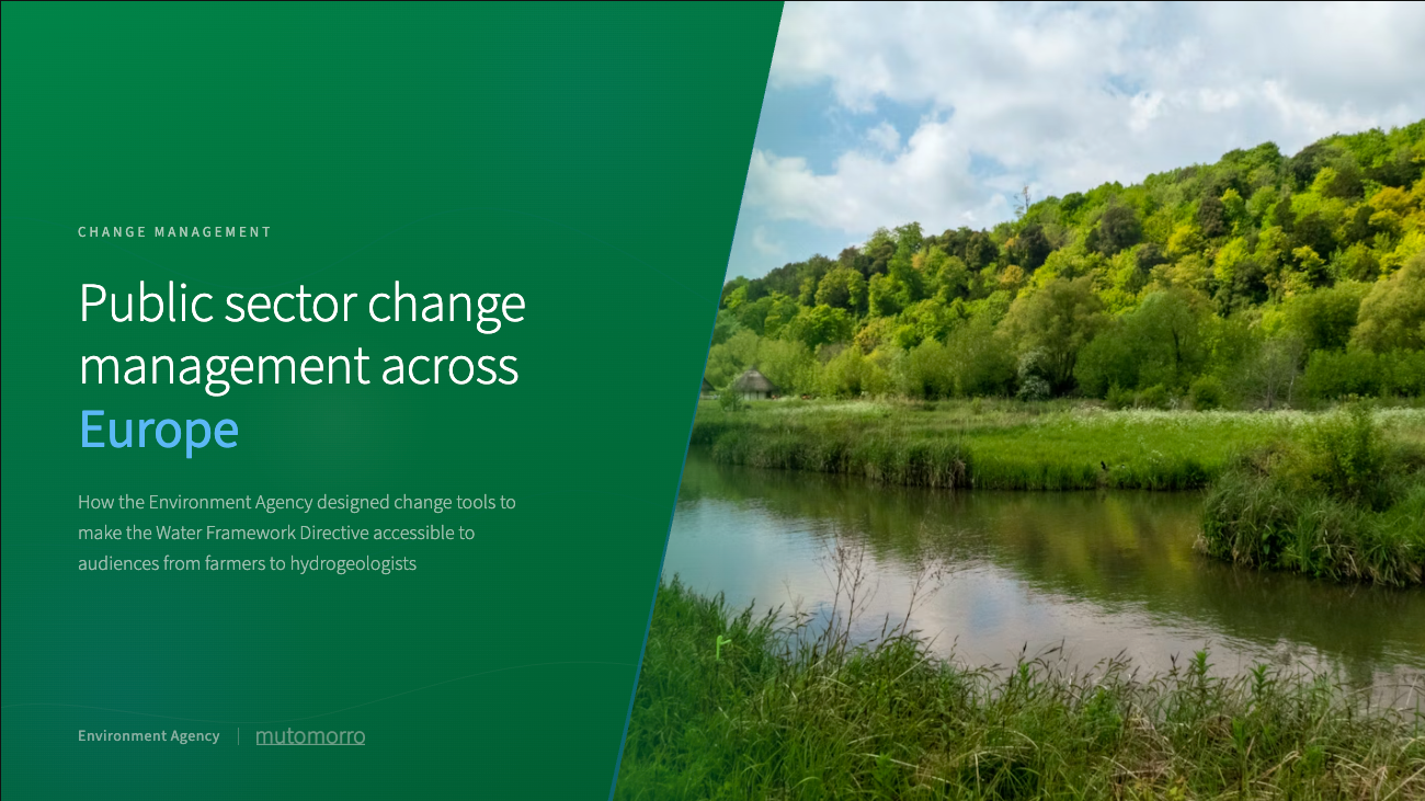 Public sector change management - change strategy, frameworks and tools