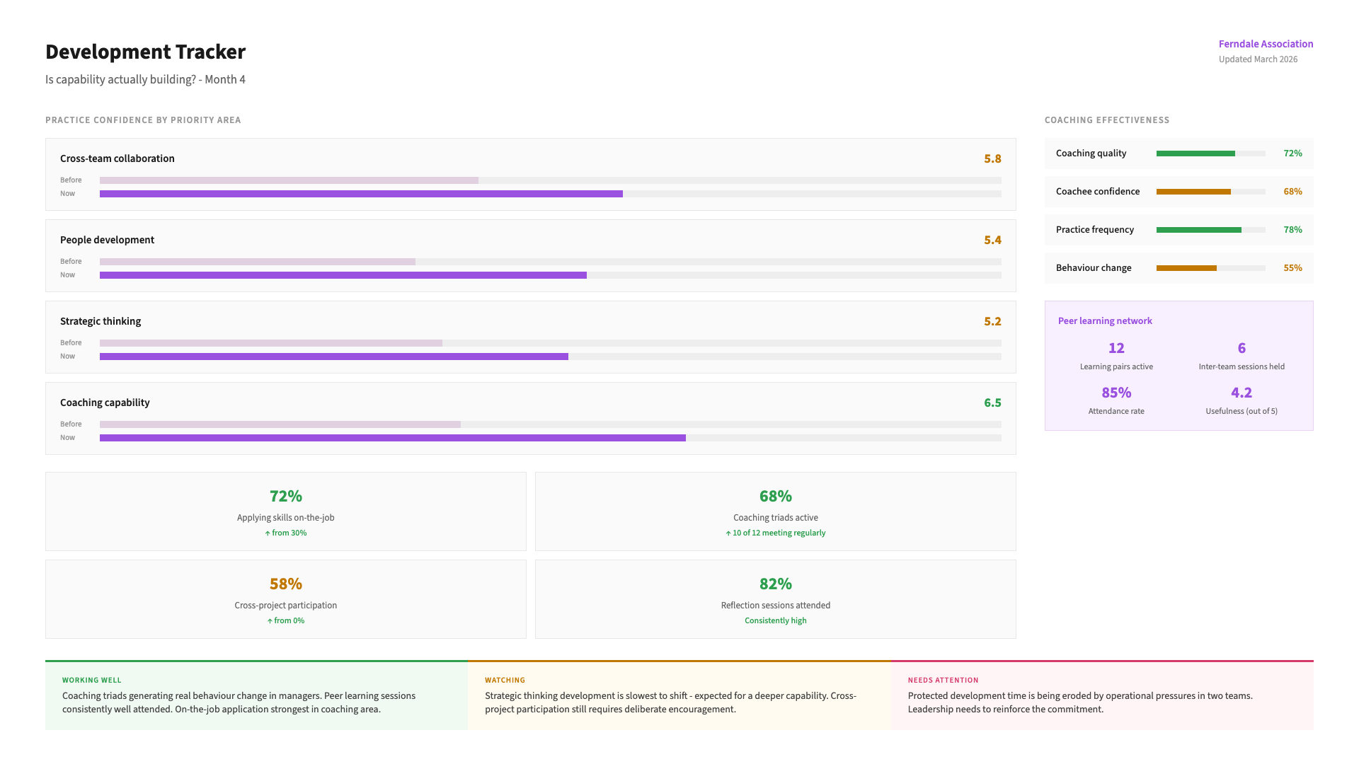 Example Capacity-Strengthening Programme output: an illustrative sample of the worked dashboard - the key observations it captures, and the priorities you leave with.