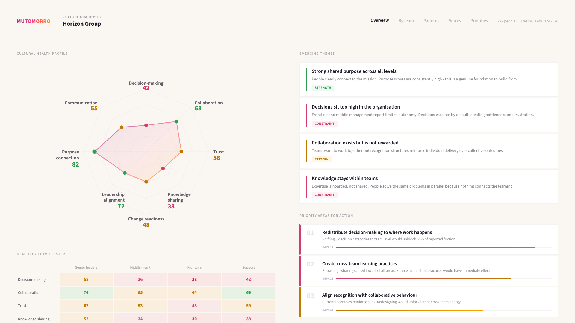 Example organisational culture assessment output: an illustrative sample of the findings dashboard - the key observations we surface, and the prioritised changes you leave with.