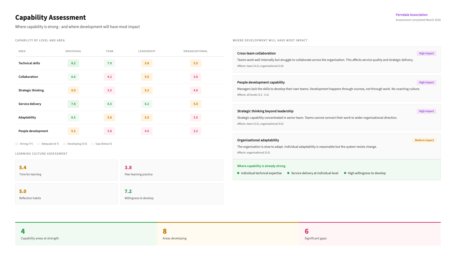 Example organisational capacity assessment output: an illustrative sample of the findings dashboard - the key observations we surface, and the prioritised changes you leave with.