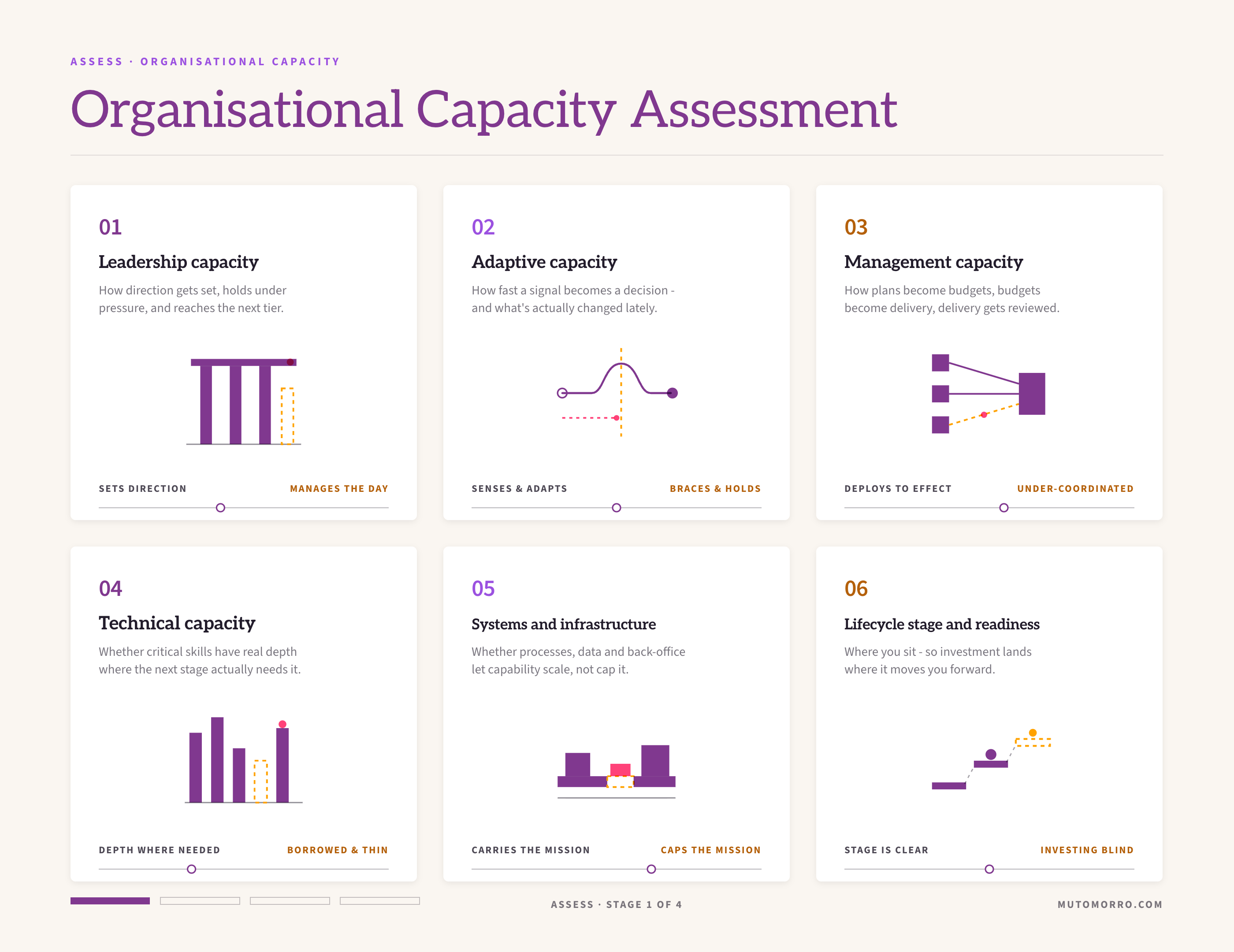 Organisational capacity assessment sheet: the six angles - leadership capacity, adaptive capacity, management capacity, technical capacity, systems and infrastructure, and lifecycle stage and readiness - each read on a slider from carrying to capping.