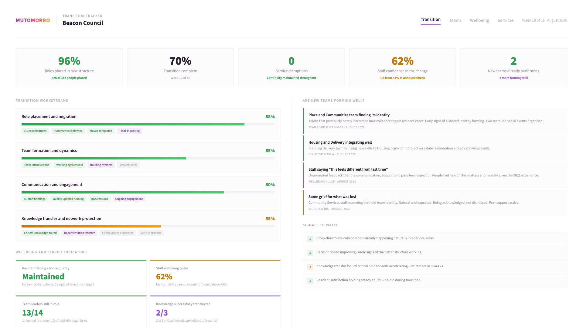 Example Restructure Implementation Programme output: an illustrative sample of the worked dashboard - the key observations it captures, and the priorities you leave with.