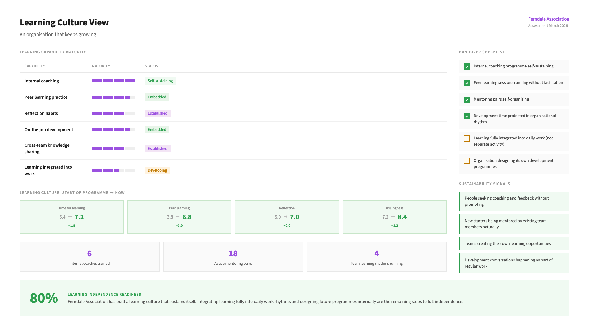 Example Sustaining Your Capacity output: an illustrative sample of the worked dashboard - the key observations it captures, and the priorities you leave with.