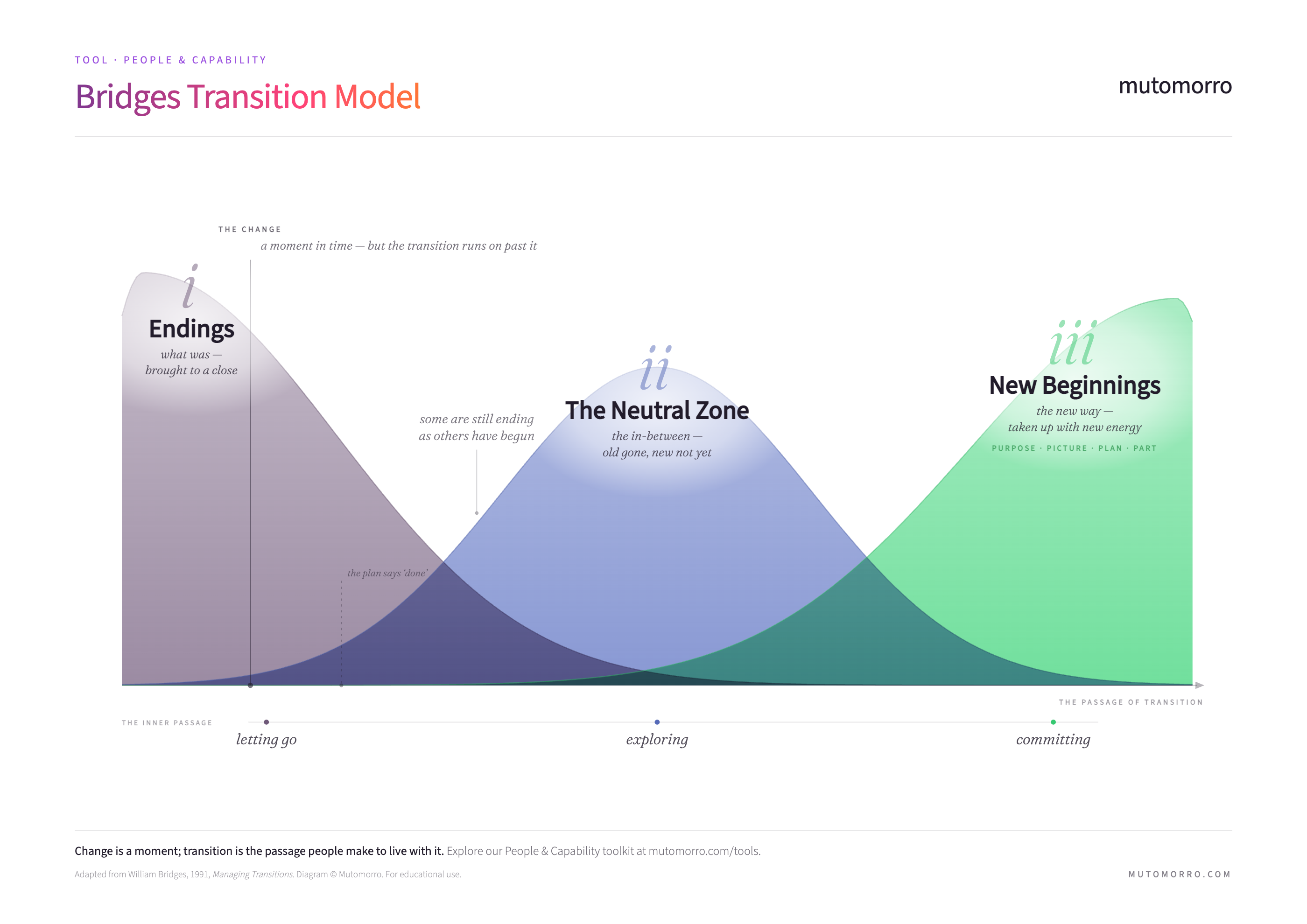 Bridges Transition Model - three overlapping phases of transition across a timeline